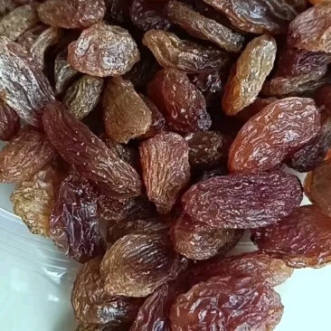新疆葡萄干大颗粒绿葡萄干红葡萄干颗粒饱满厂家一手货源