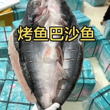 开背巴沙鱼无刺，毛利高，多规格可选！