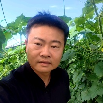 产地冬瓜直销发全国，保证品质量大价更优