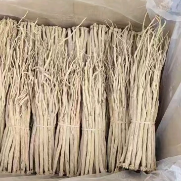 甘肃白条党参药厂货。