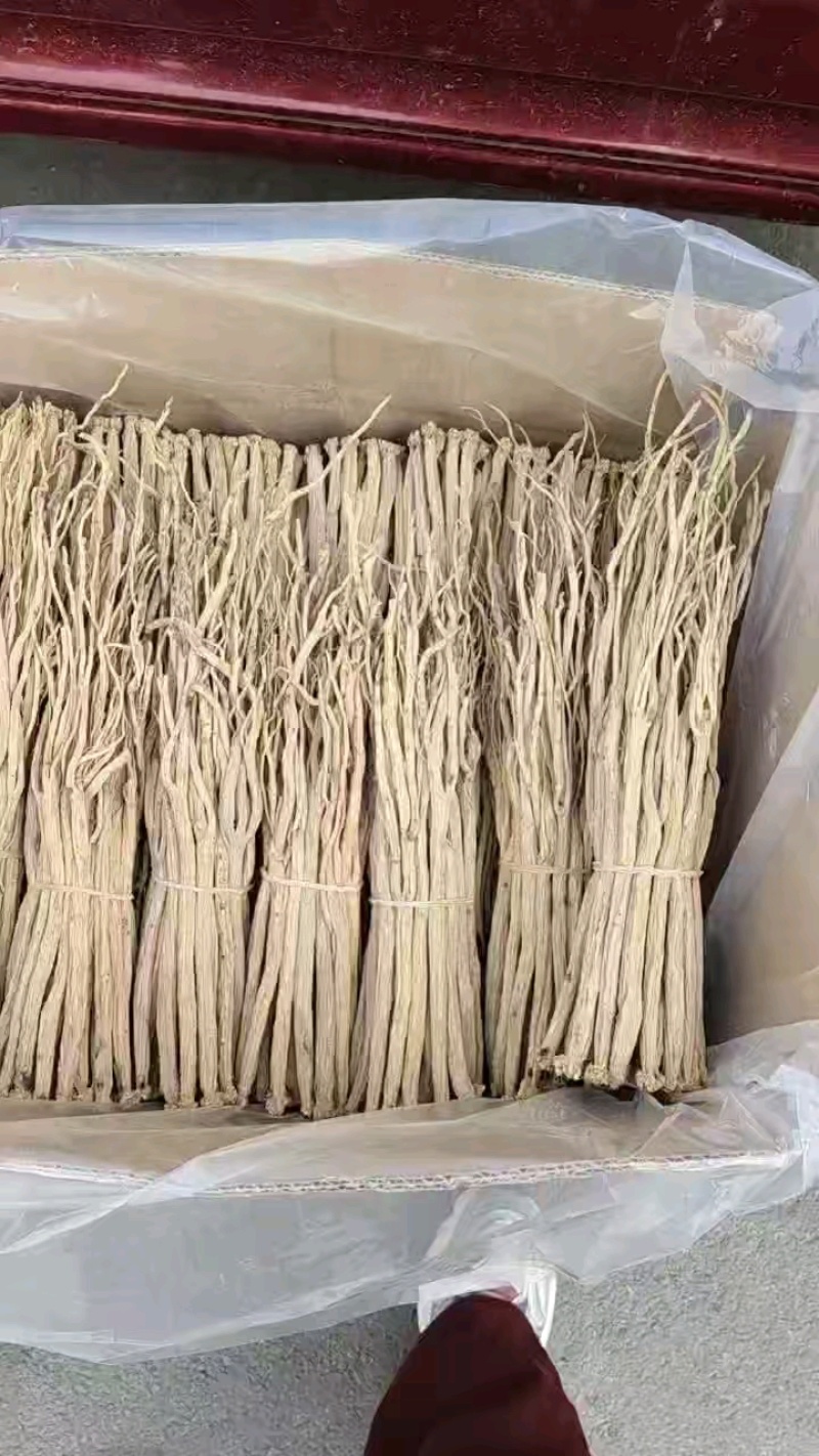 甘肃白条党参药厂货。