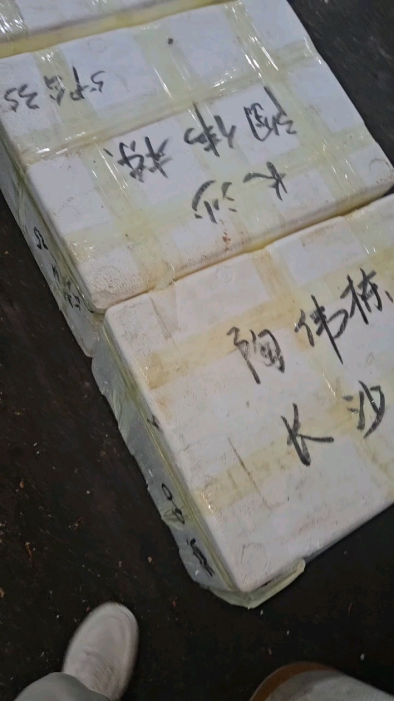 【现货】六月黄大闸蟹公蟹规格齐全一手货源全国批发