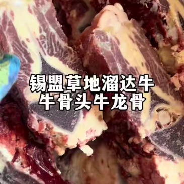 内蒙古精品牛副产品牛龙骨/诚信经营/量大从优/工厂直发