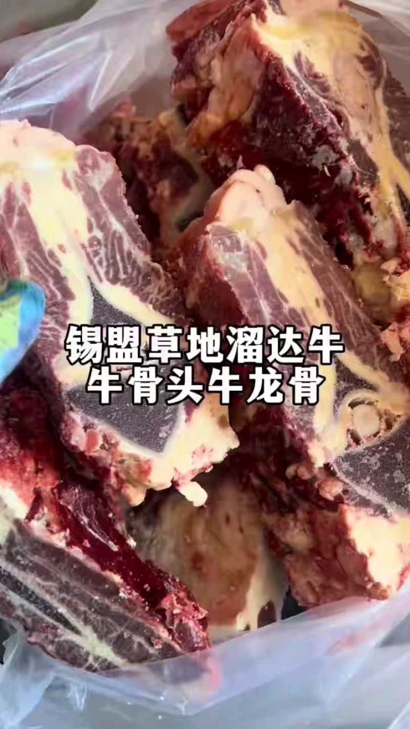 内蒙古精品牛副产品牛龙骨/诚信经营/量大从优/工厂直发