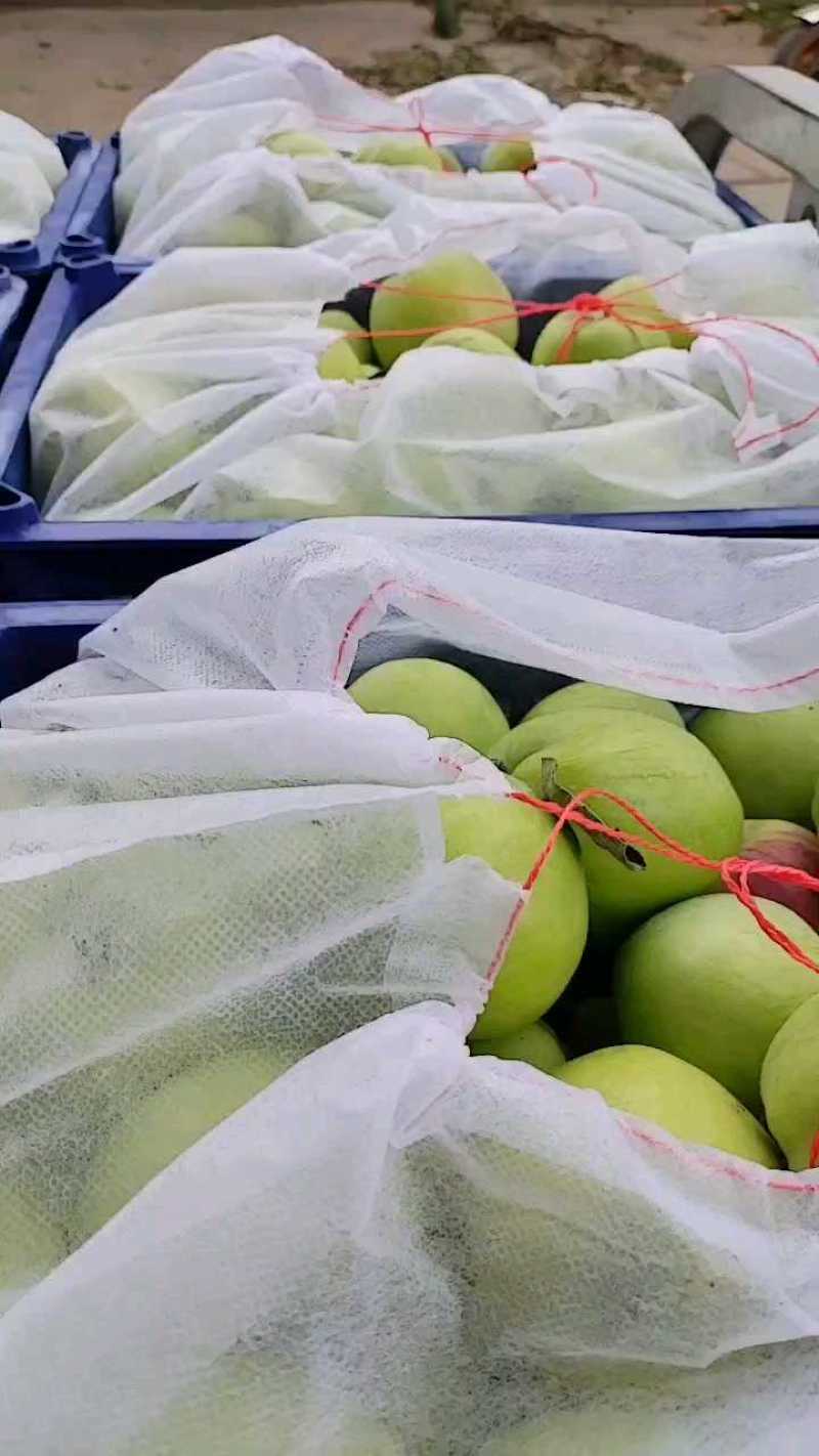 长富苹果现摘现卖，小绿板品质！