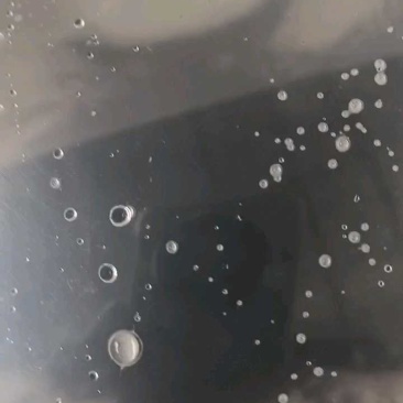 三黄塘虱鱼苗,全程售后服务跟踪指导塘角鱼苗批发