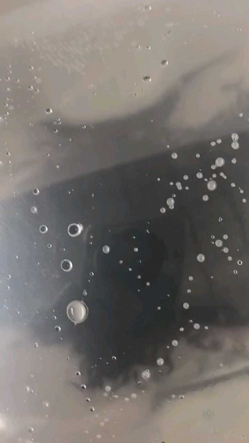 三黄塘虱鱼苗，全程售后服务跟踪指导塘角鱼苗批发