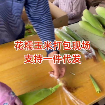 花糯玉米（水果、白糯）