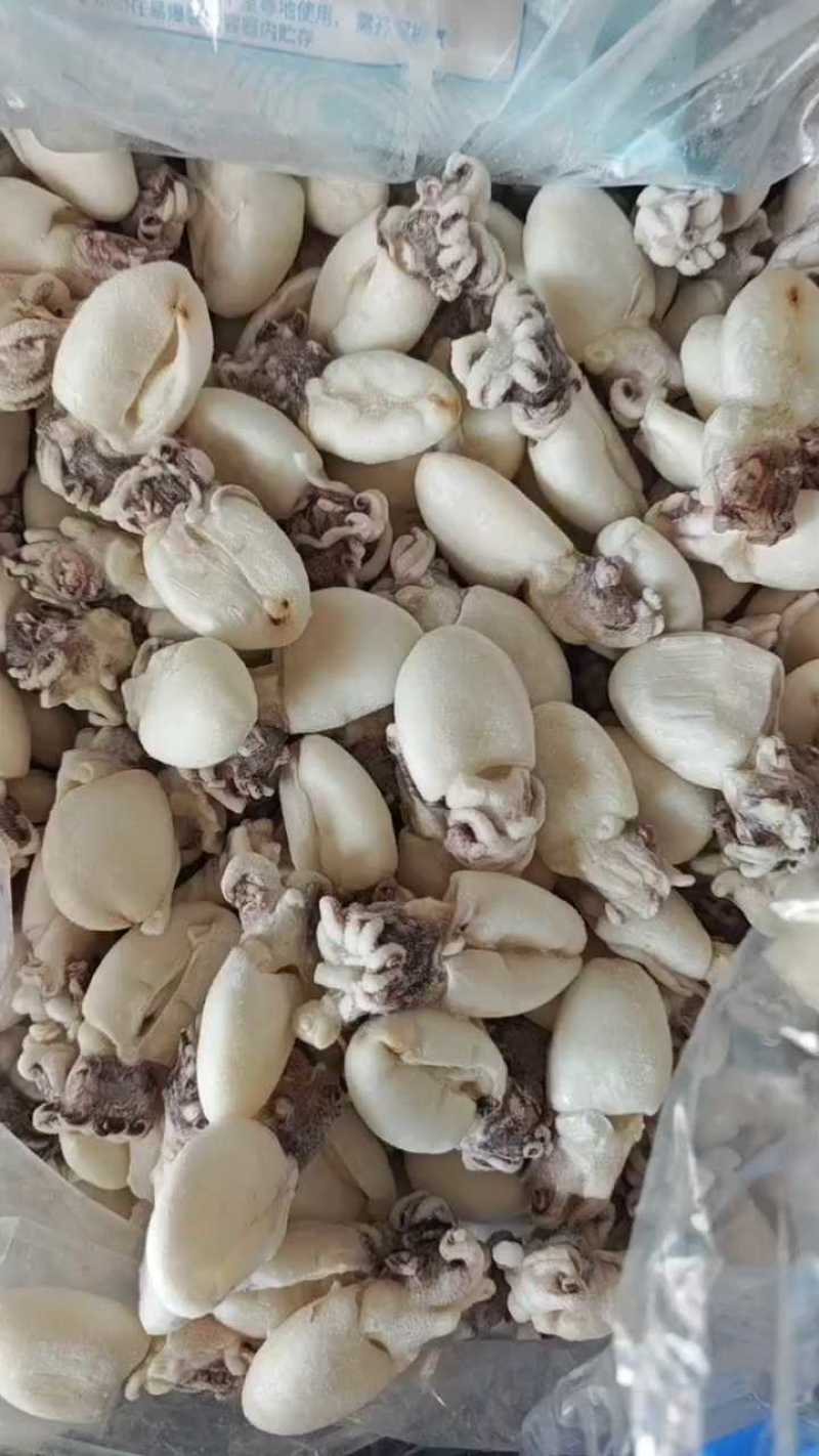干冰墨鱼籽支持捞汁小海鲜，货源充足价格平稳欢迎大家咨询