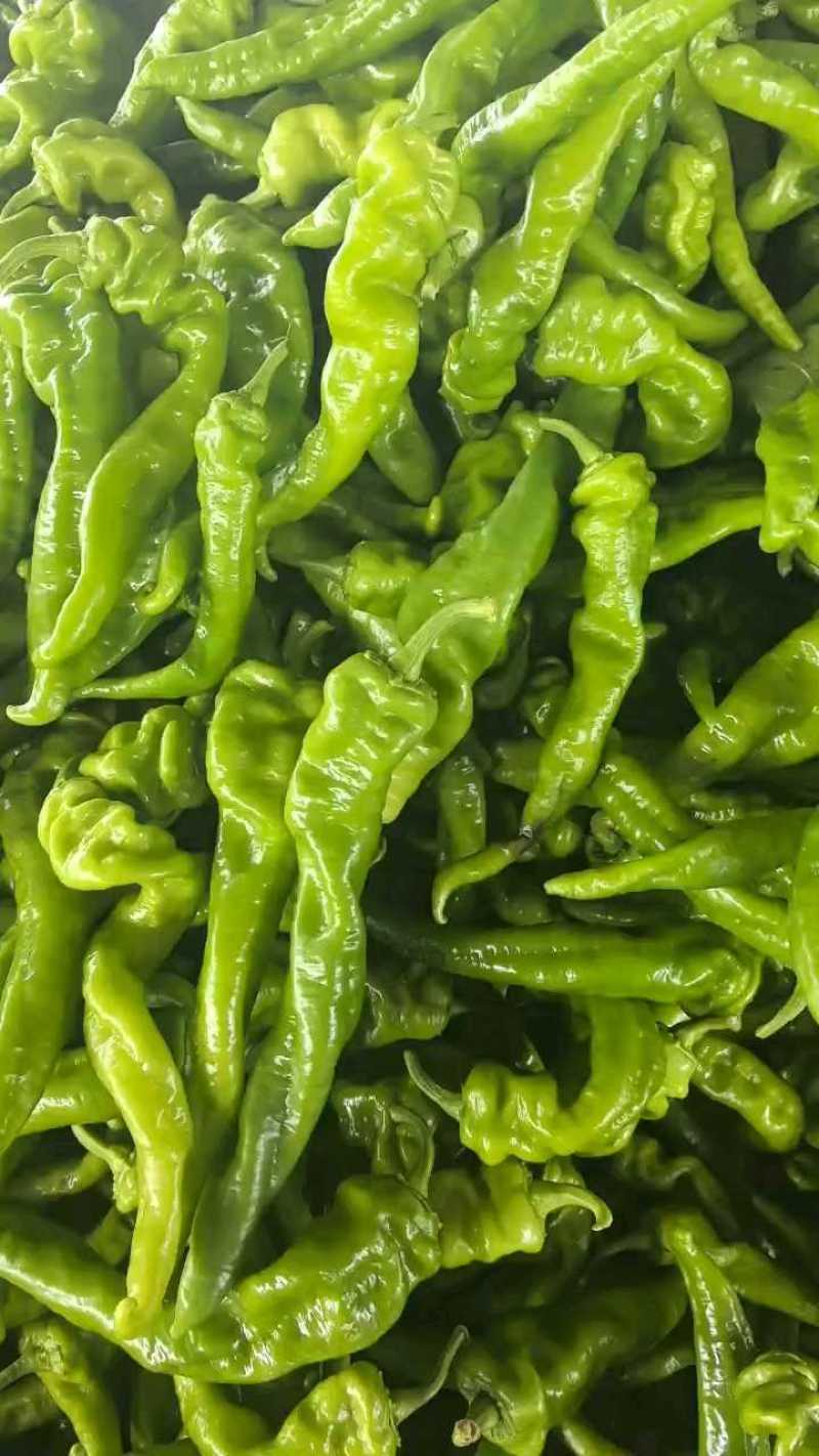 螺丝辣椒少量上市，硬度好可配车！