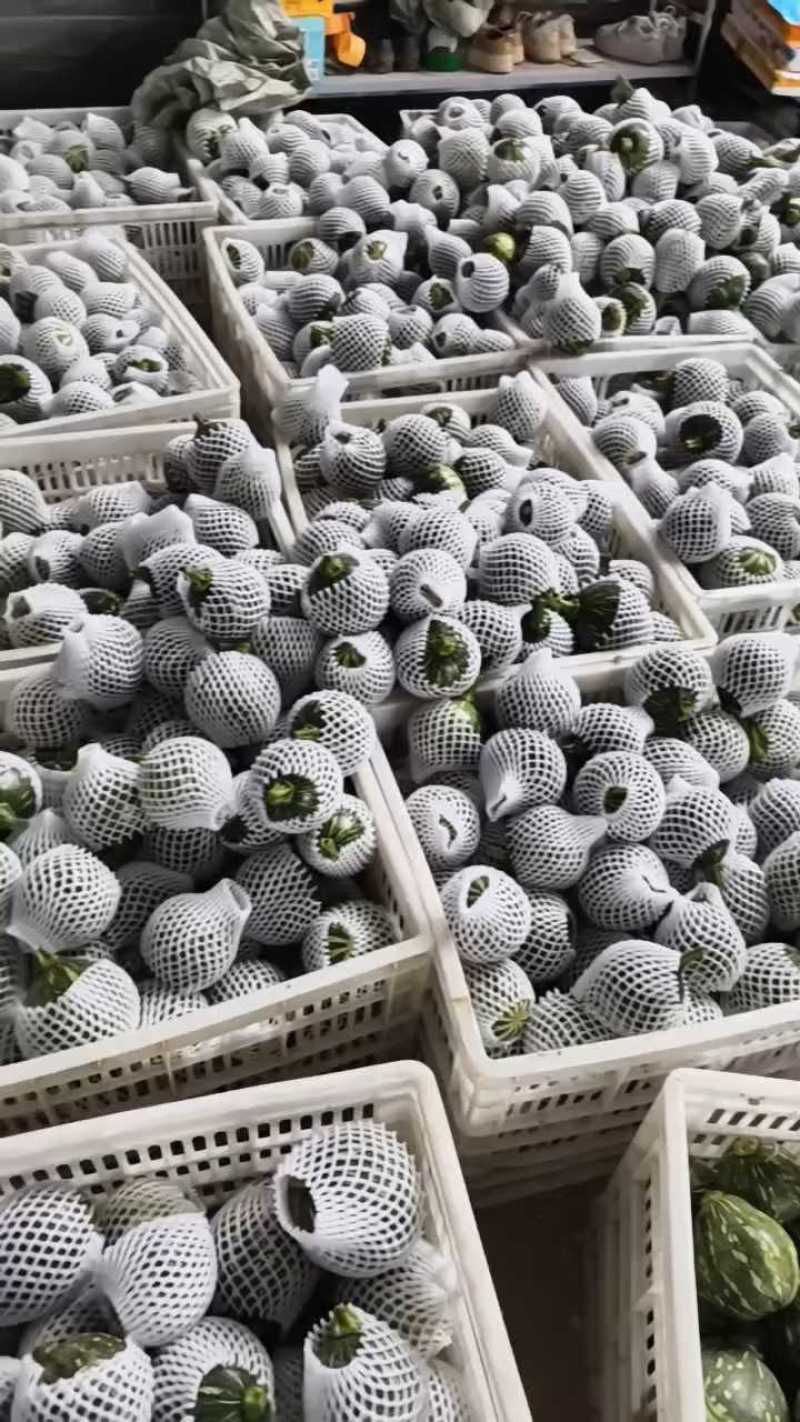 精品南瓜小南瓜大量上市，各大商超市场可对接，欢迎订购