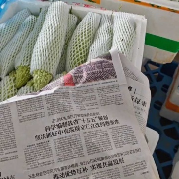 白苦瓜大量有货，6月22日最新行情。