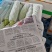 白苦瓜大量有货，6月22日最新行情。