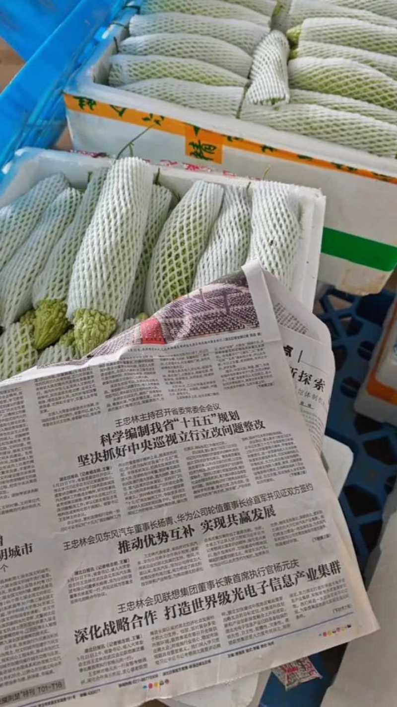 白苦瓜大量有货，6月22日最新行情。