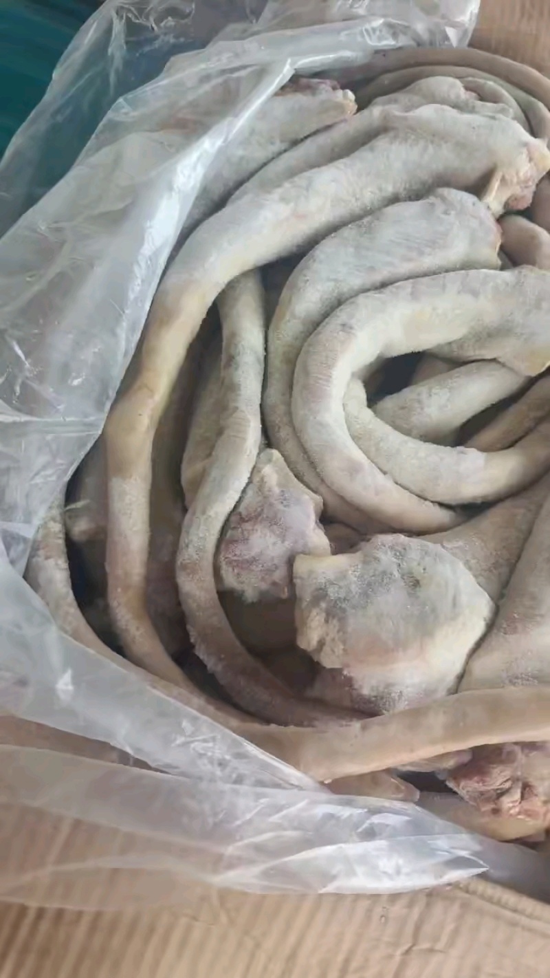 带皮牛尾国产，纯手工火烧，适合煲汤，需要的老板联系