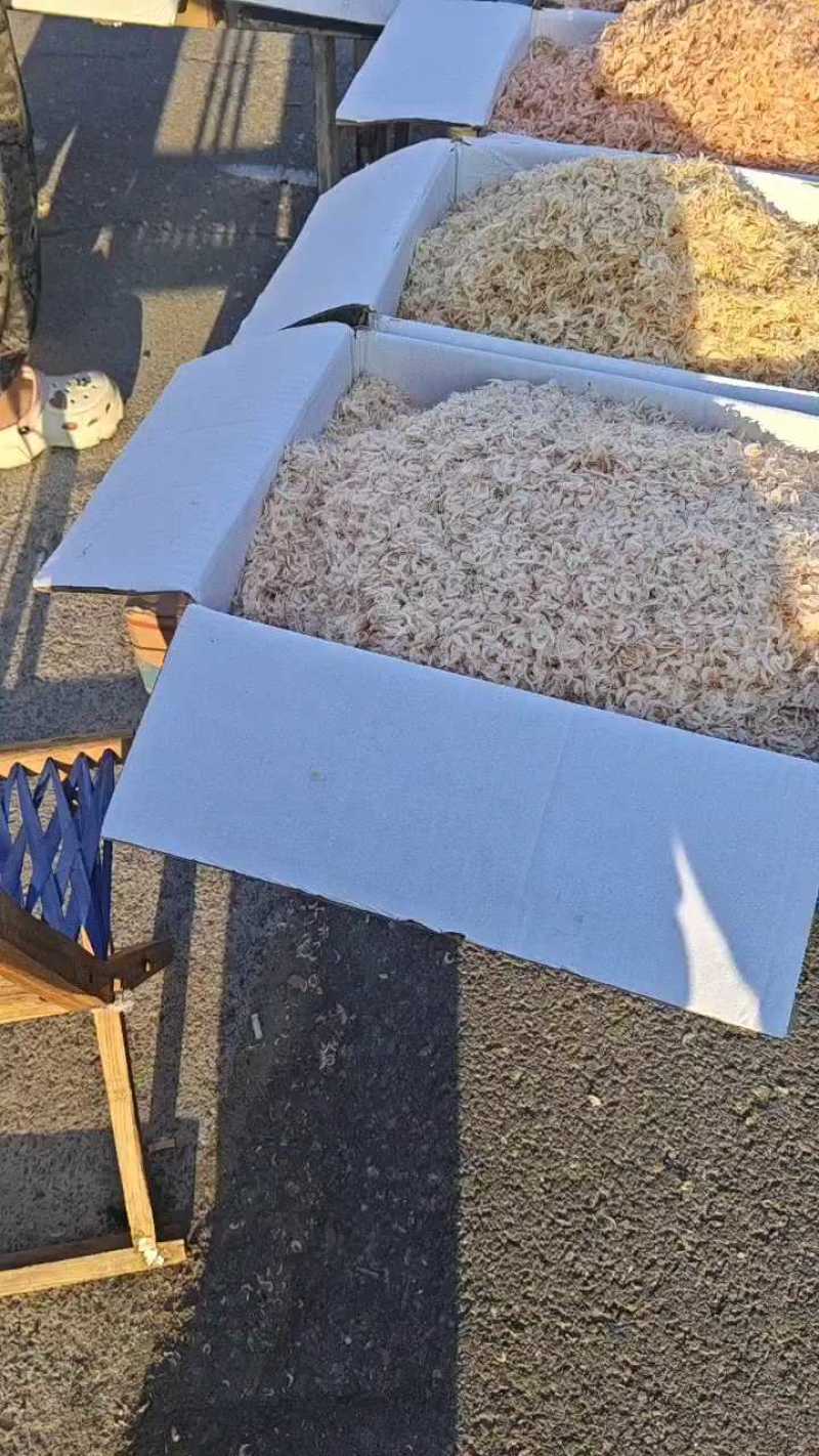 虾皮