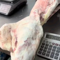 内蒙古精品羊肉/羔羊白条羊/保质保量/量大从优/欢迎下单