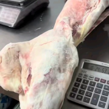 内蒙古精品羊肉/羔羊白条羊/保质保量/量大从优/欢迎下单