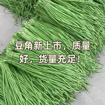 精品长豆角量大，质量保证，大量有货。。。。