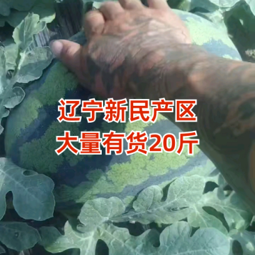 辽宁新民产区，20斤大果，大量有货。
