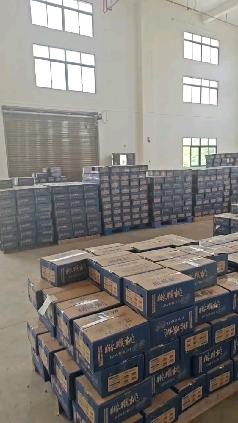 猕猴桃一件代发，源头产地直发，包售后，全网***
