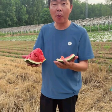 甜王西瓜，薄皮黑子大红瓤，视屏看货，代发全国，质量保证