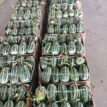 精品金冠大量有货，价格便宜，质量有保证