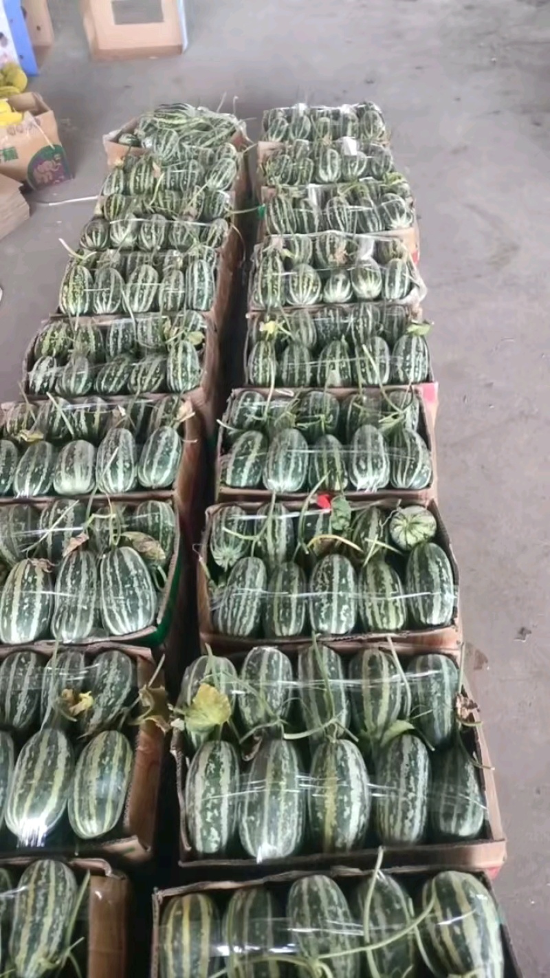 精品金冠大量有货，价格便宜，质量有保证