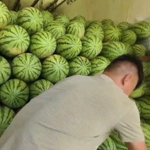 精品甜王西瓜，养的太好了！