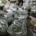 甘肃省陇南市成县架豆可对接全国电商市场商超等客户欢迎来