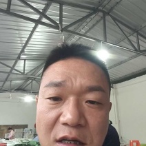 蜂糖李即将大量上市，精品市场货，支持一件代发