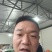 蜂糖李即将大量上市，精品市场货，支持一件代发