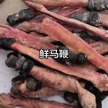 马鞭光杆马鞭带宝马鞭精修无油鲜货