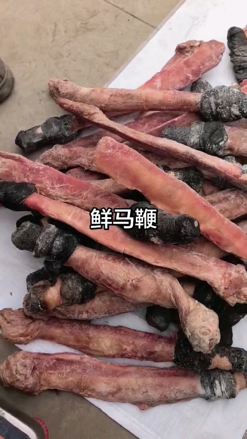 马鞭光杆马鞭带宝马鞭精修无油鲜货