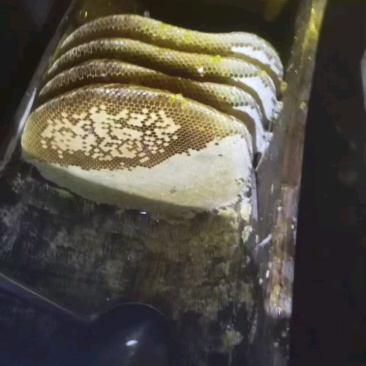 土蜂蜜