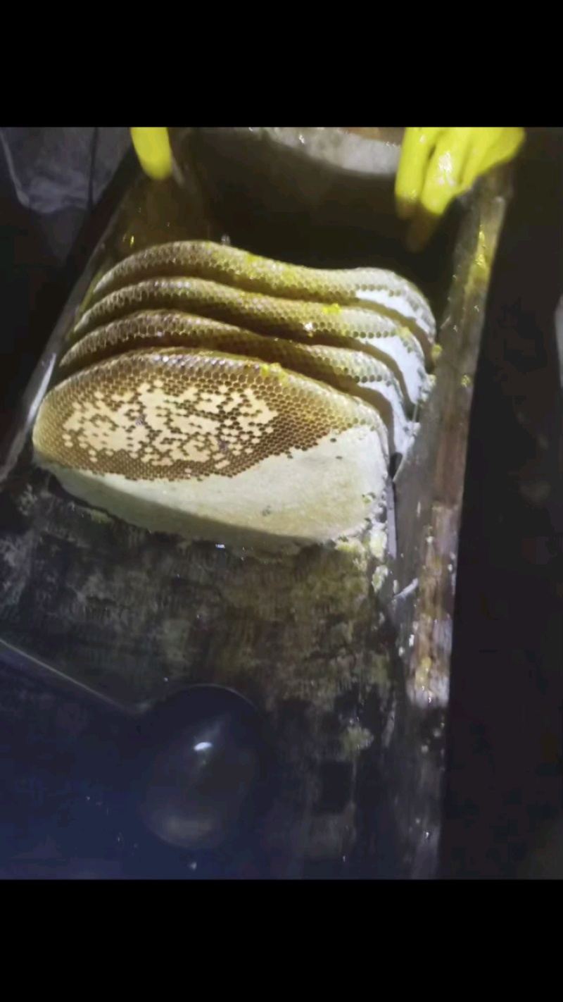 土蜂蜜
