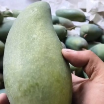 攀枝花大青芒果全渠道对接市场平台电商商超