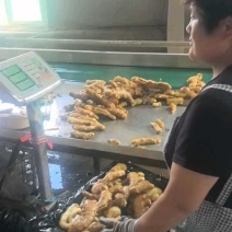 大黄姜山东大黄姜产地市场直发货源规格齐全保质保量