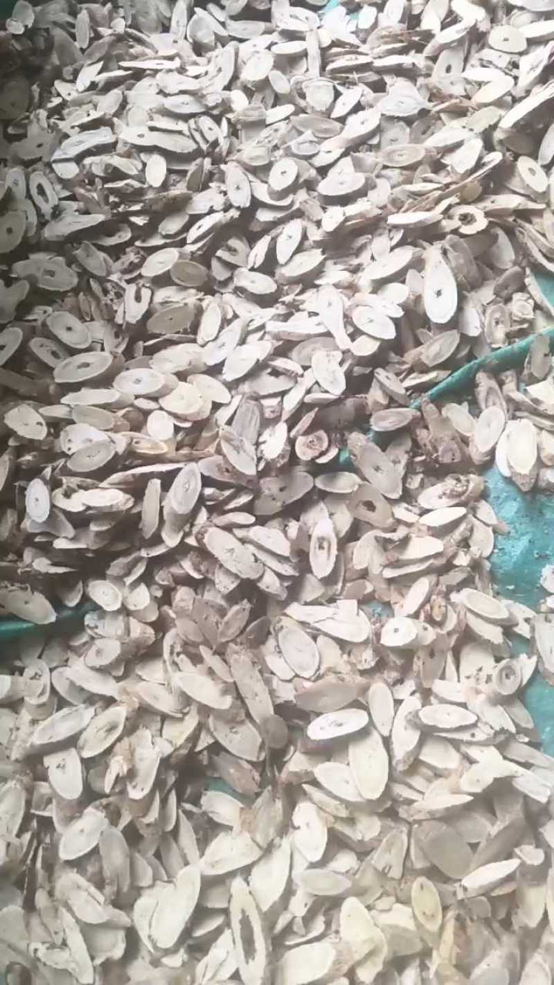 厂家直销黄芪指甲片***欢迎电话咨询黄芪斜片，全国发货