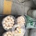 宁夏盐池农家散养土鸡蛋现捡新鲜蛋黄软糯无饲料