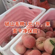 毛桃突围