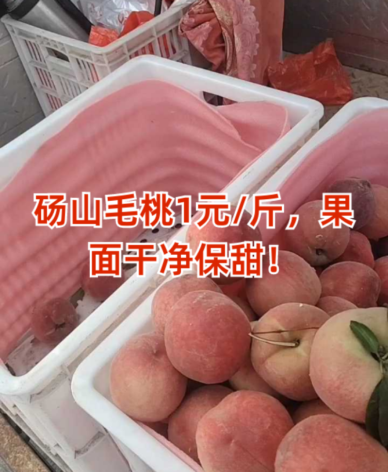 毛桃突围