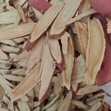 野生甘草大片甘草甘肃甘草片