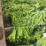 青条豆角豆角长豆角产地看货论价保质保量