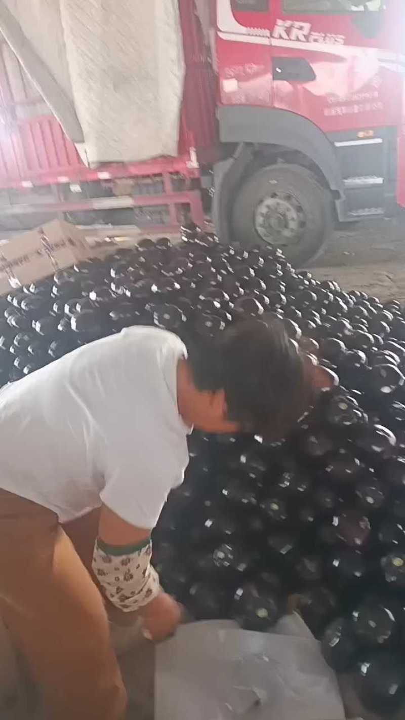 精品茄子两毛一斤，手抓饼煎饼多款可选！