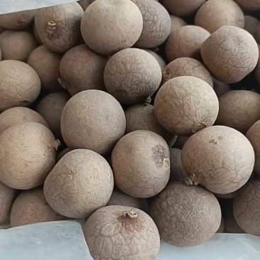 电商对接桂圆干龙眼干肉厚核小规格齐全品质保证
