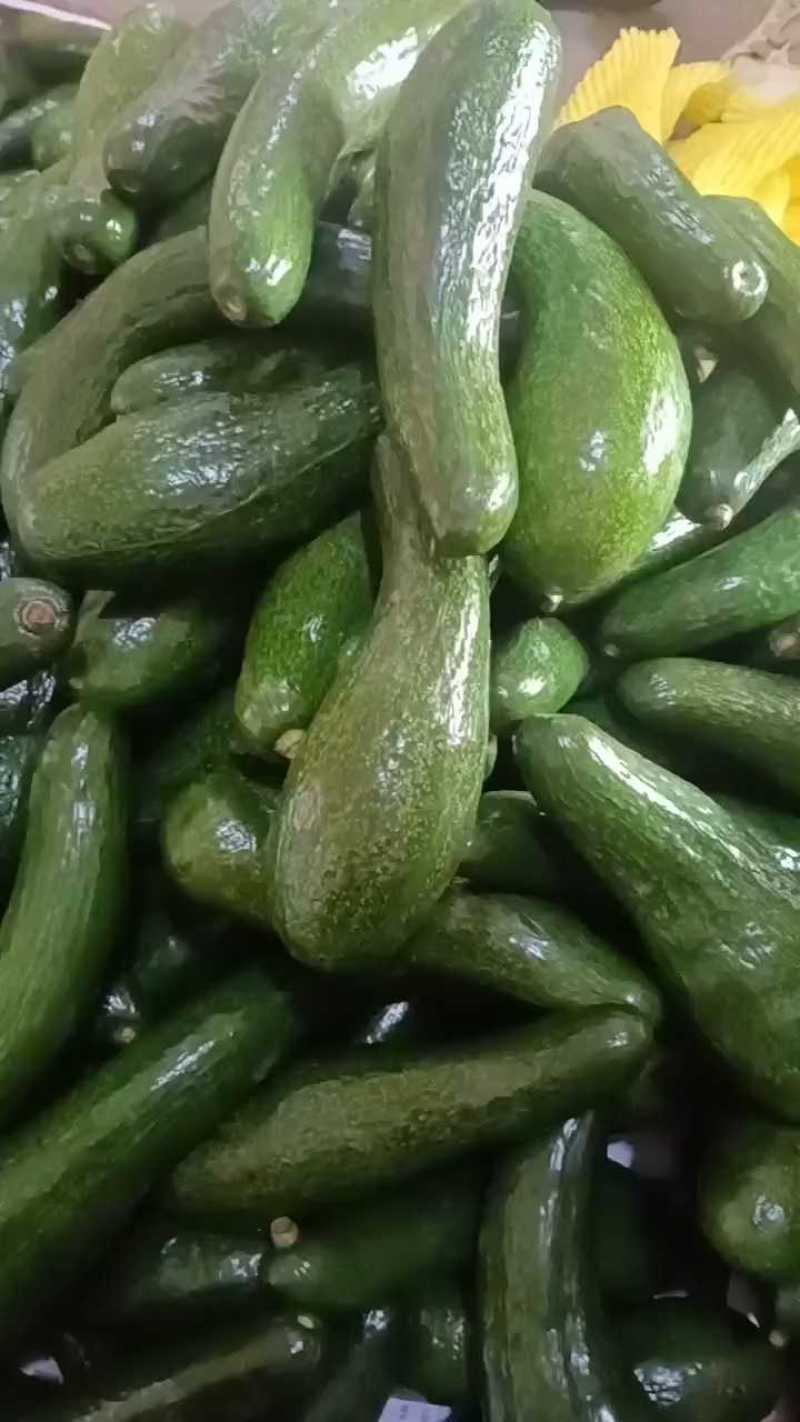 [顺丰包邮]广西长条形牛油果巨无霸牛油果