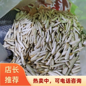 精品白牙签瓜子2026潍坊一件代发价格便宜质量有保证