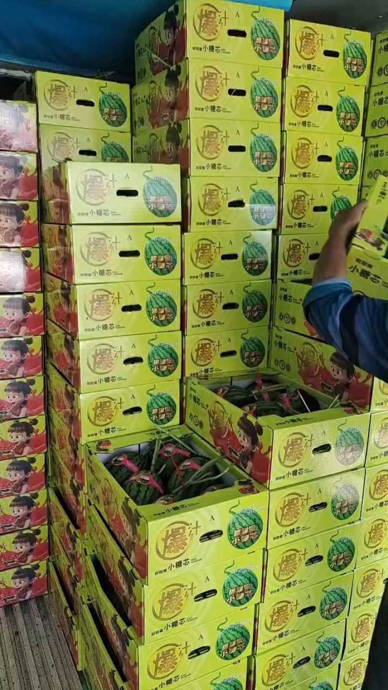 小糖丸吊瓜，2K小吊瓜，牛奶西瓜手掰西瓜产地直发一手货源