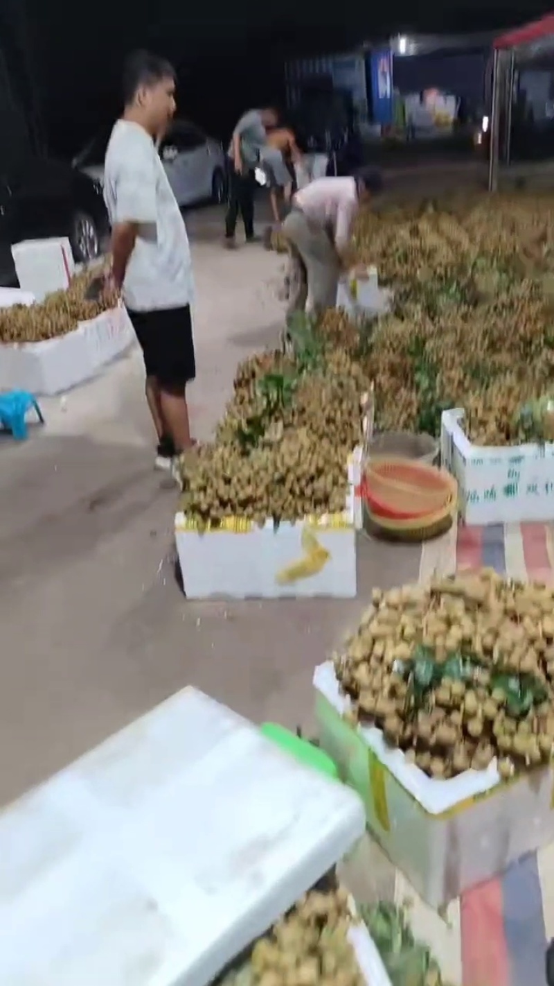 龙眼批发，龙眼代收